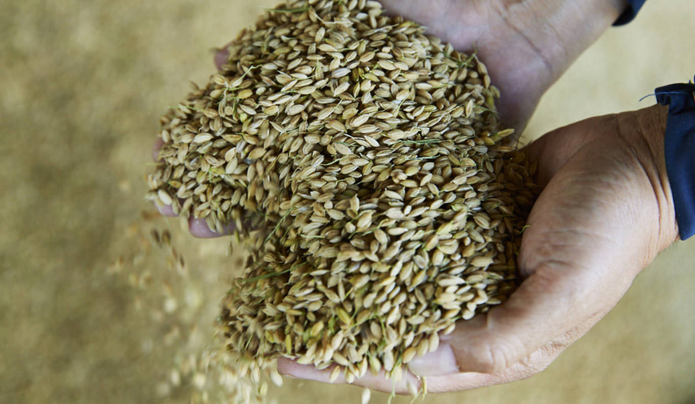 あくとビレッヂ｜農業組合法人 宮崎協業