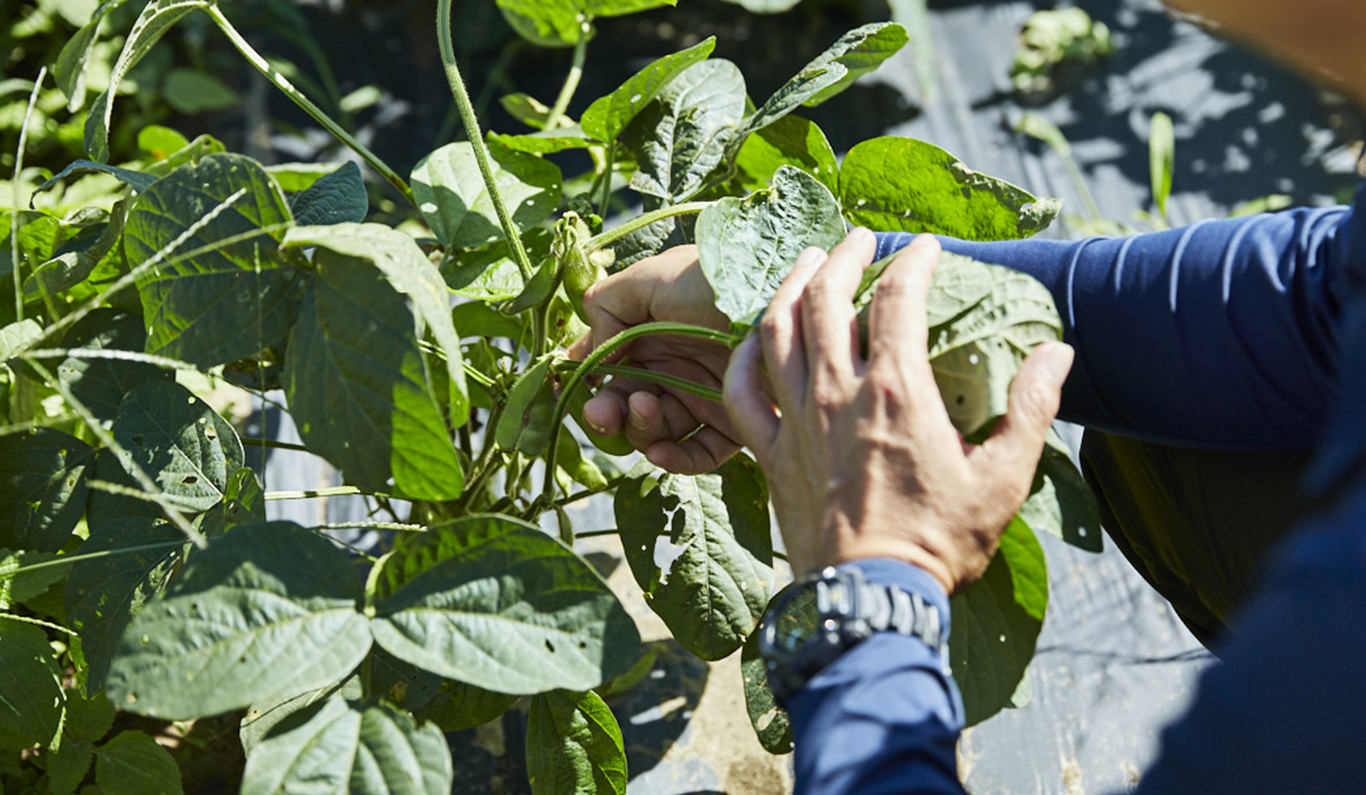 あくとビレッヂ｜農業組合法人 宮崎協業